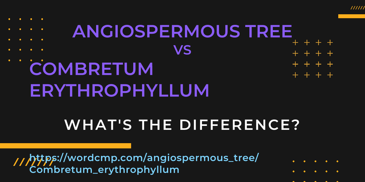 Difference between angiospermous tree and Combretum erythrophyllum