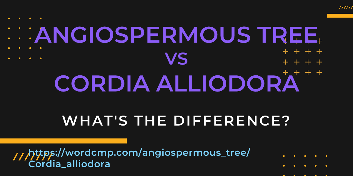 Difference between angiospermous tree and Cordia alliodora