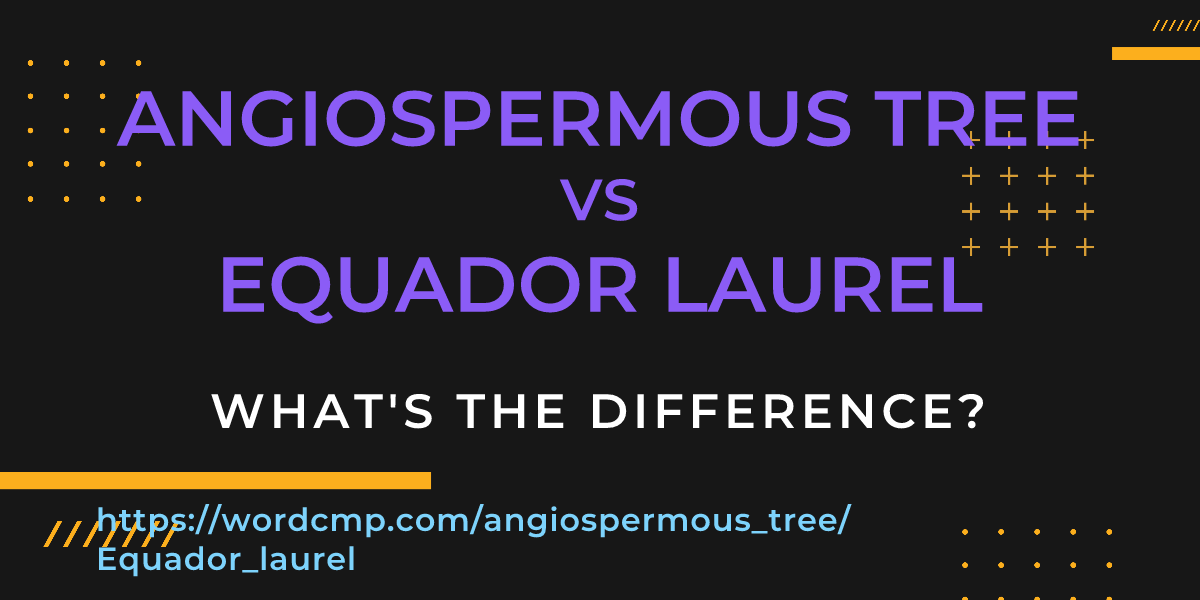Difference between angiospermous tree and Equador laurel