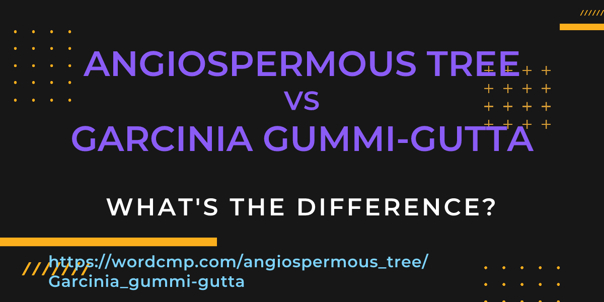 Difference between angiospermous tree and Garcinia gummi-gutta