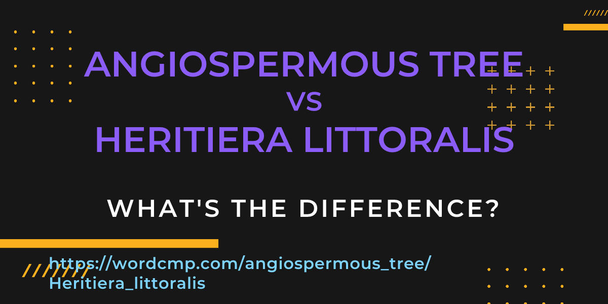 Difference between angiospermous tree and Heritiera littoralis