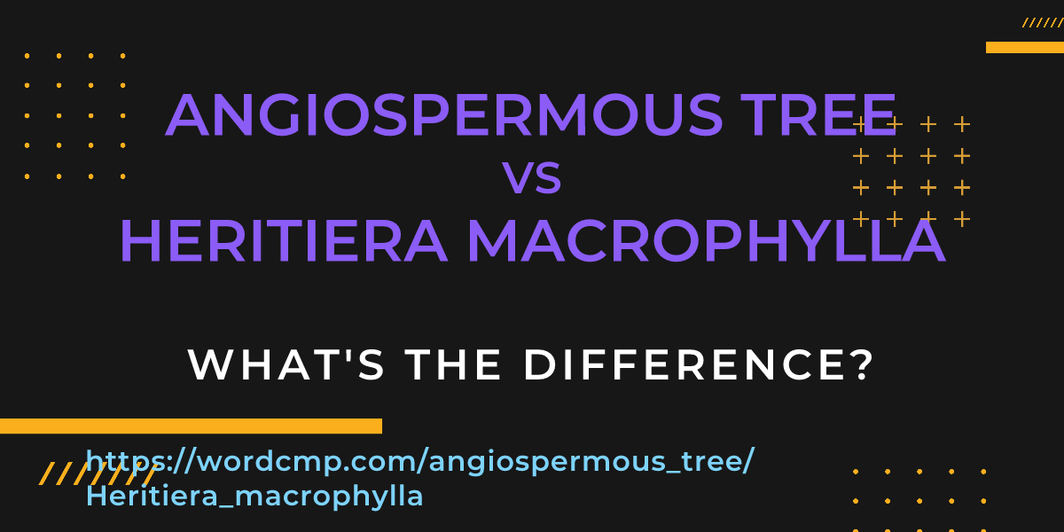 Difference between angiospermous tree and Heritiera macrophylla