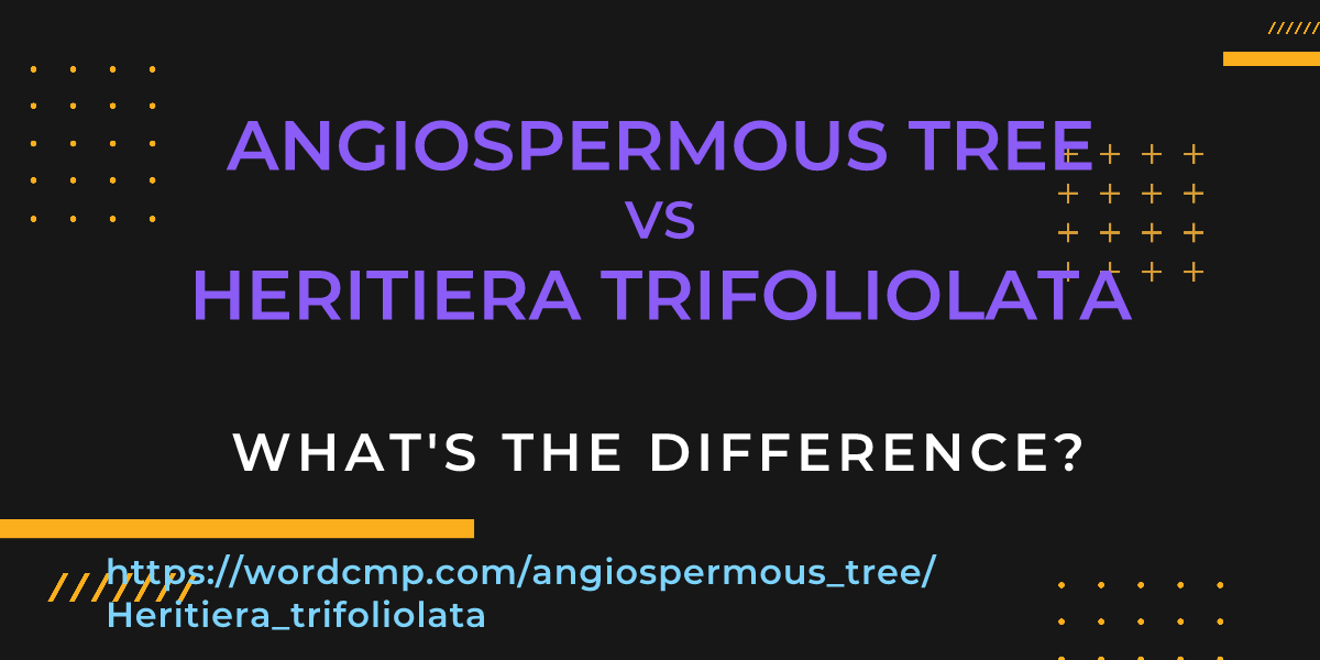 Difference between angiospermous tree and Heritiera trifoliolata