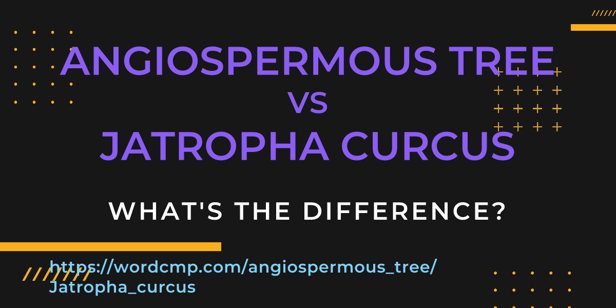 Difference between angiospermous tree and Jatropha curcus