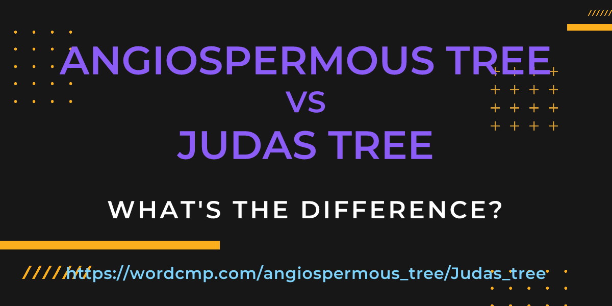 Difference between angiospermous tree and Judas tree