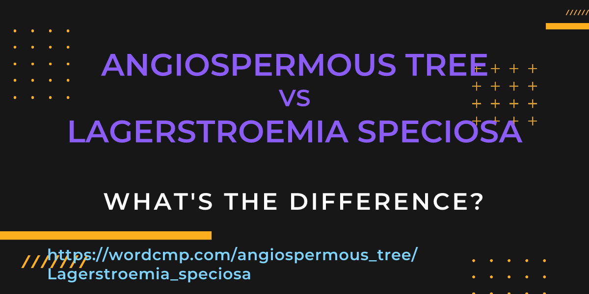 Difference between angiospermous tree and Lagerstroemia speciosa