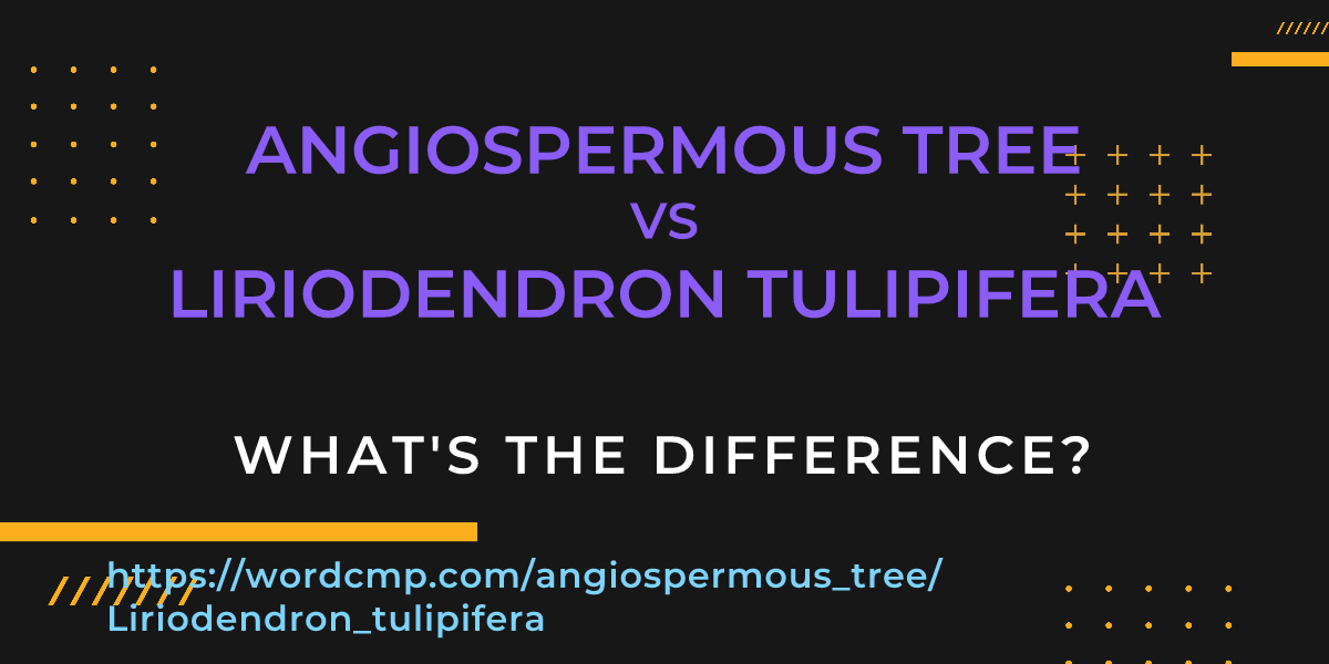 Difference between angiospermous tree and Liriodendron tulipifera