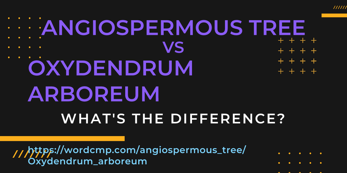 Difference between angiospermous tree and Oxydendrum arboreum