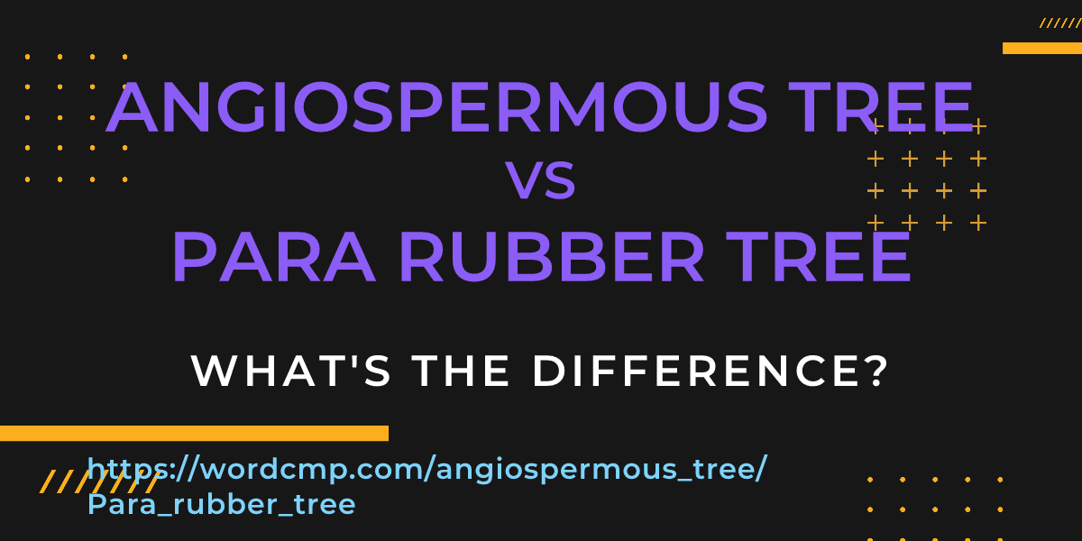 Difference between angiospermous tree and Para rubber tree