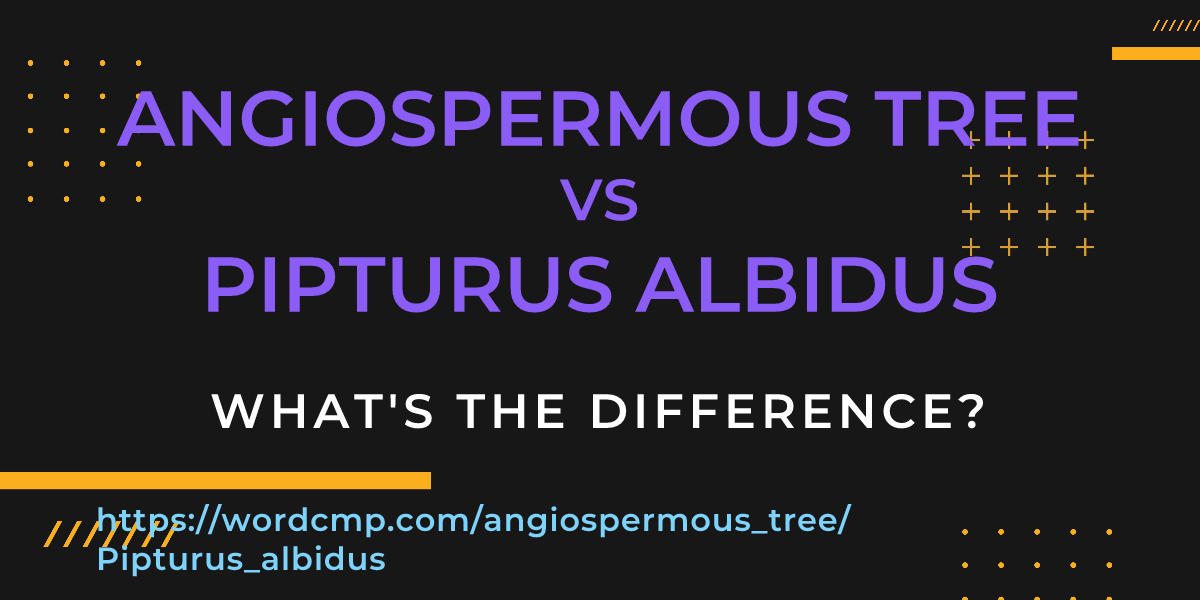 Difference between angiospermous tree and Pipturus albidus