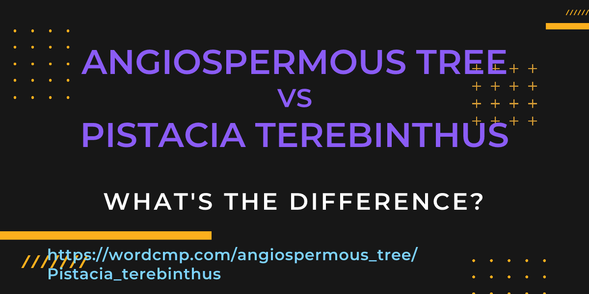 Difference between angiospermous tree and Pistacia terebinthus