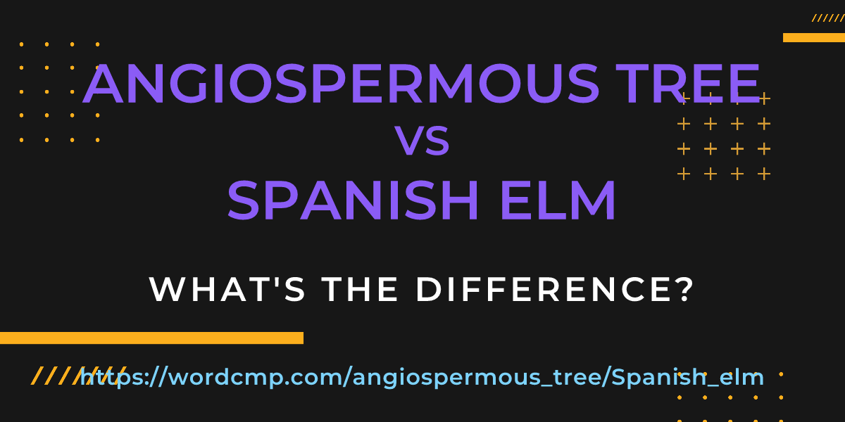 Difference between angiospermous tree and Spanish elm