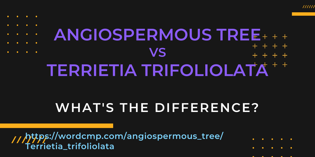 Difference between angiospermous tree and Terrietia trifoliolata