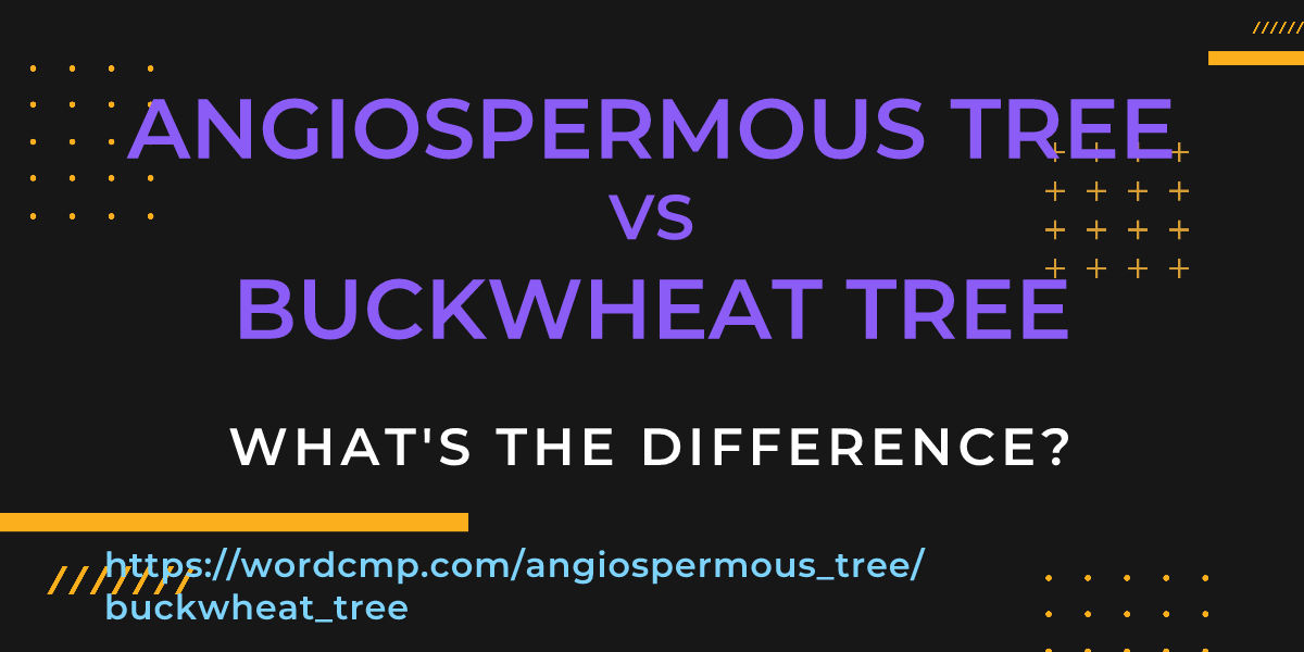 Difference between angiospermous tree and buckwheat tree