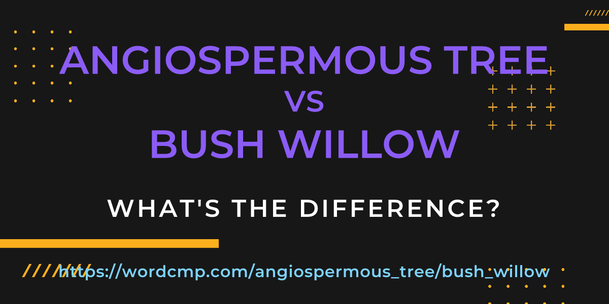 Difference between angiospermous tree and bush willow