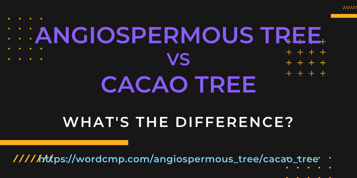 Difference between angiospermous tree and cacao tree