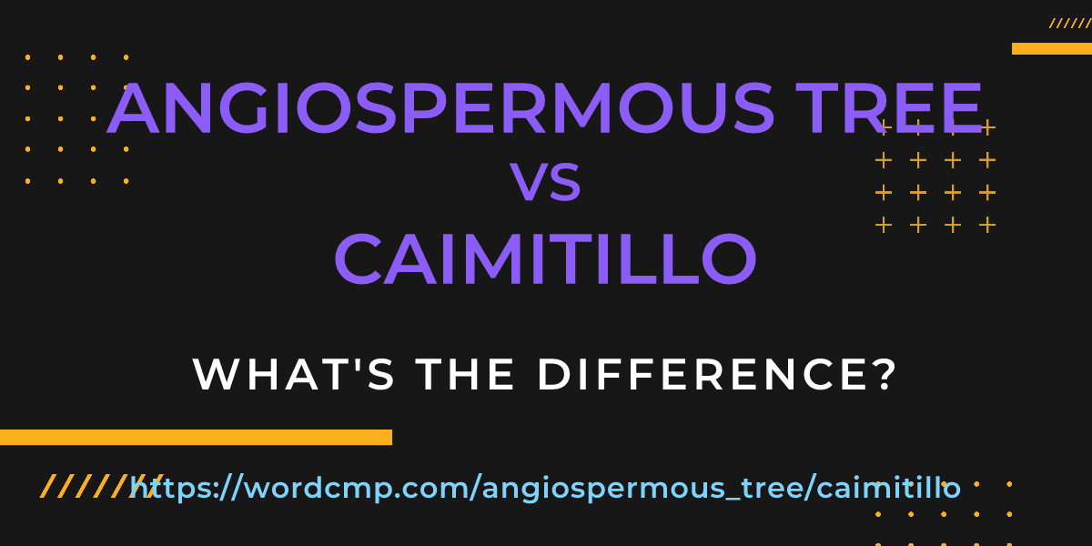 Difference between angiospermous tree and caimitillo