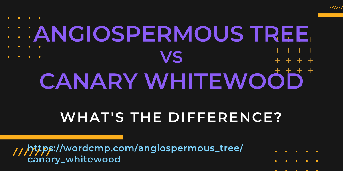 Difference between angiospermous tree and canary whitewood
