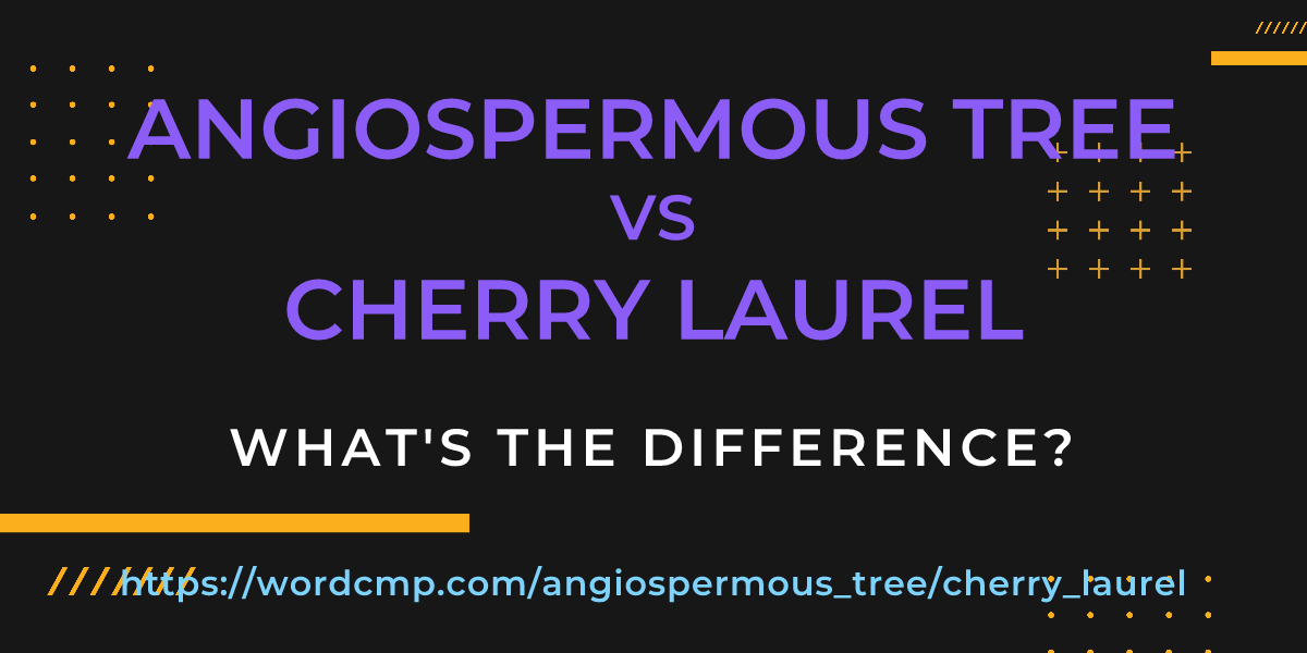 Difference between angiospermous tree and cherry laurel