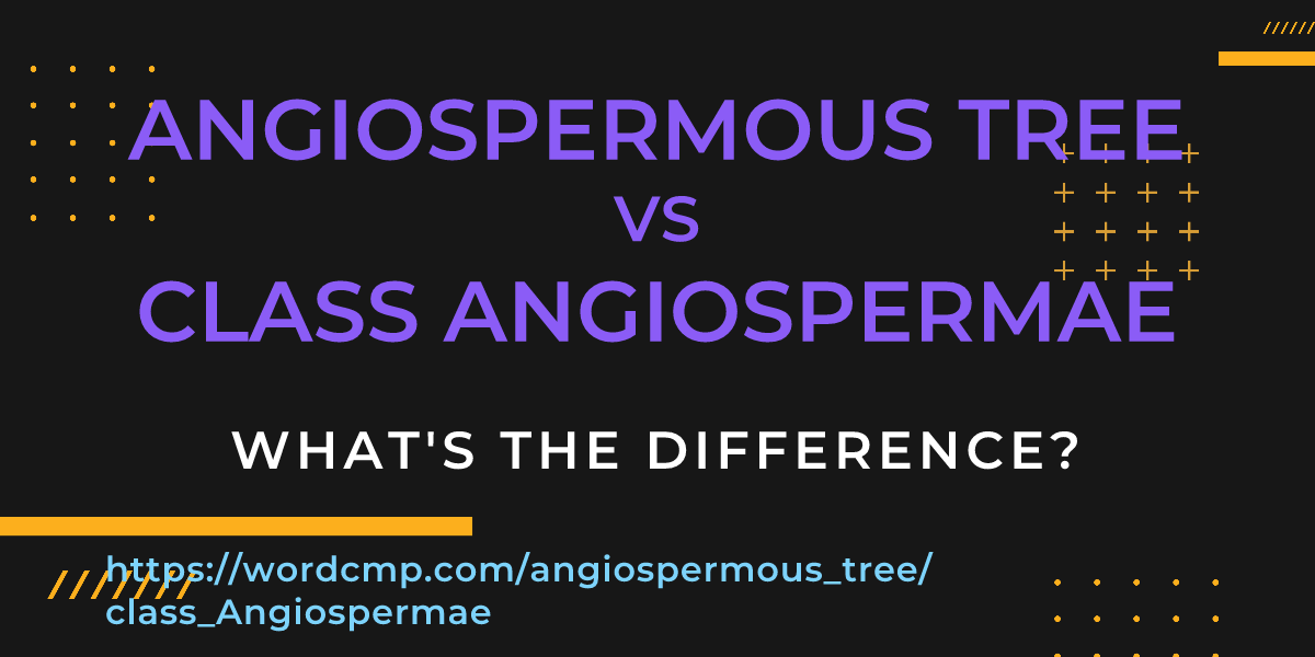 Difference between angiospermous tree and class Angiospermae