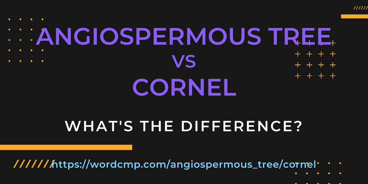 Difference between angiospermous tree and cornel
