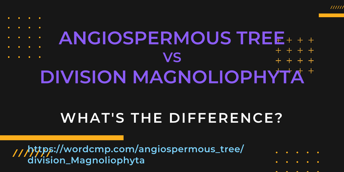 Difference between angiospermous tree and division Magnoliophyta