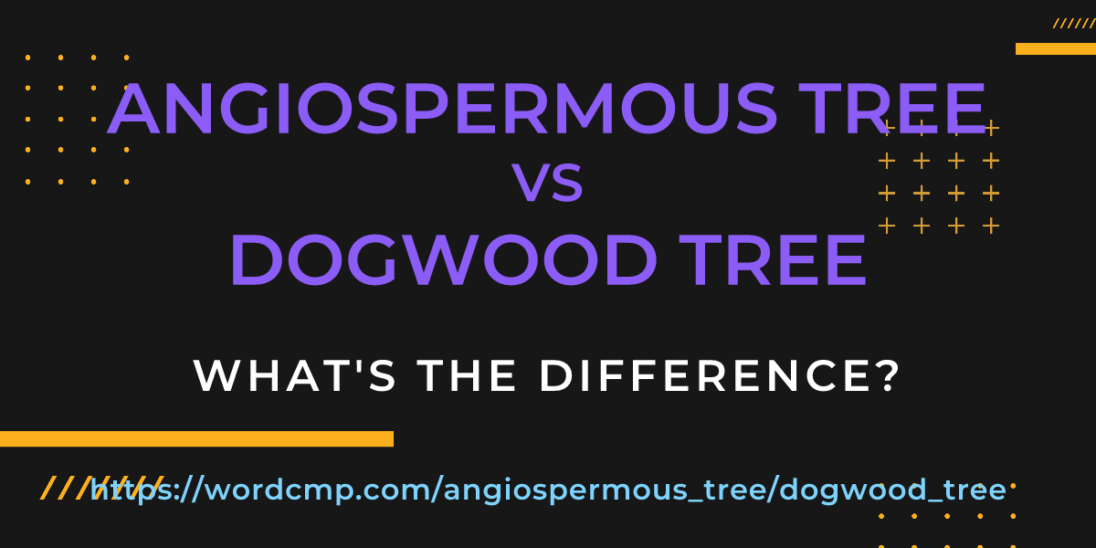 Difference between angiospermous tree and dogwood tree