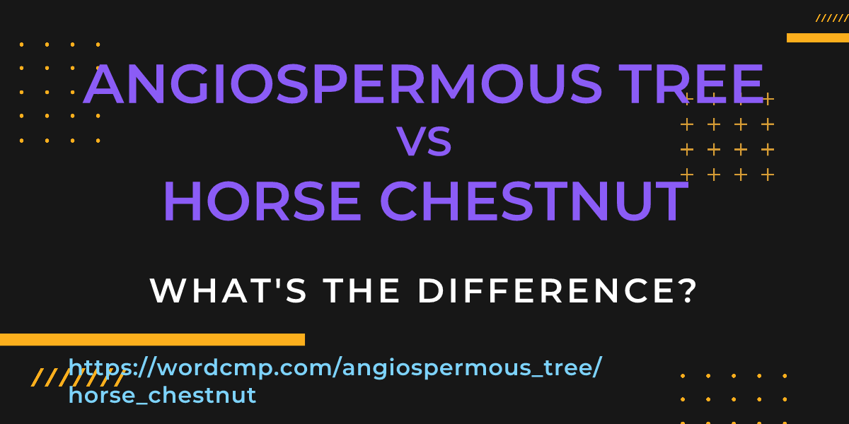 Difference between angiospermous tree and horse chestnut