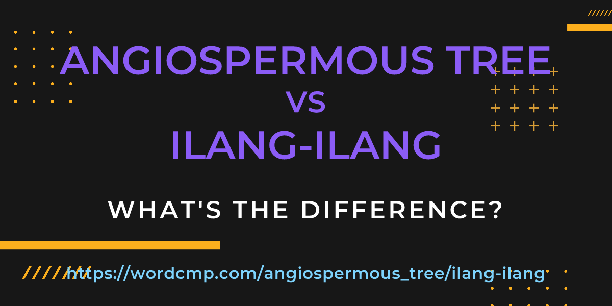 Difference between angiospermous tree and ilang-ilang