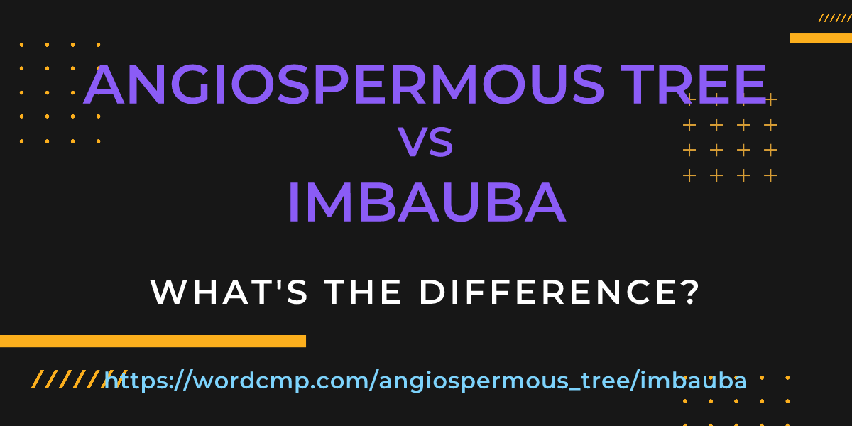 Difference between angiospermous tree and imbauba