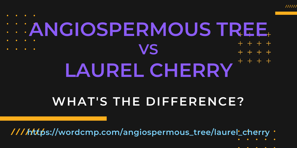 Difference between angiospermous tree and laurel cherry