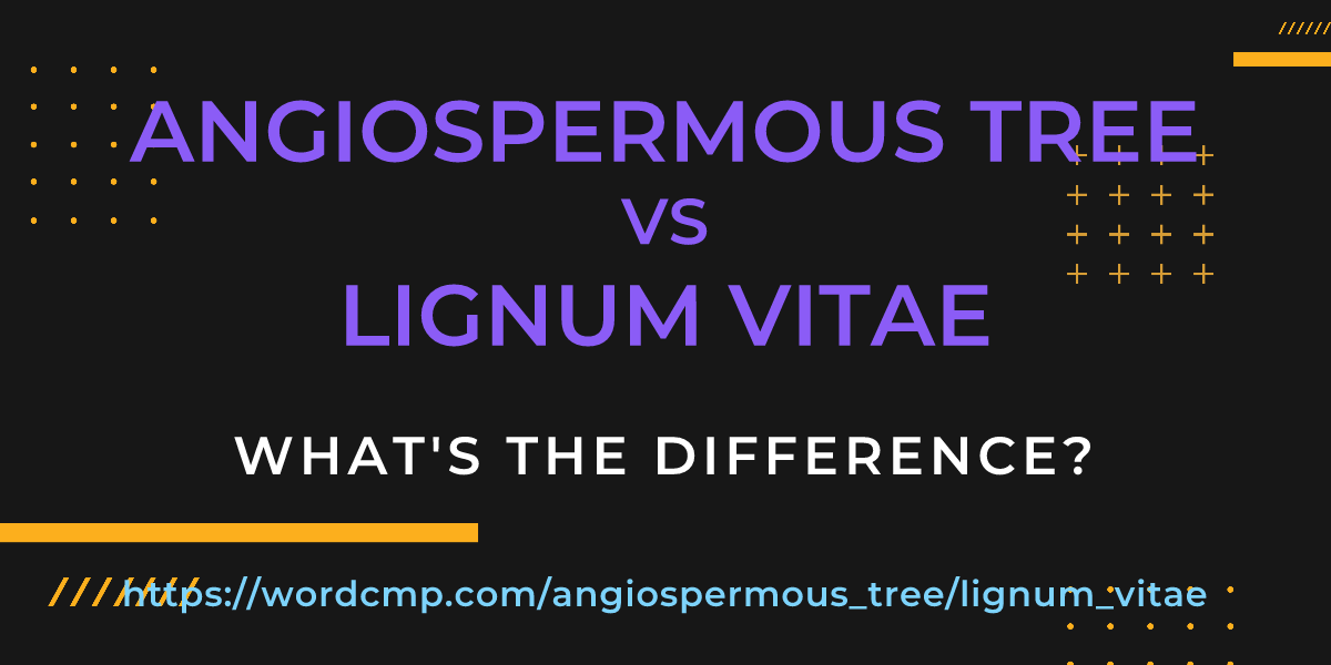 Difference between angiospermous tree and lignum vitae