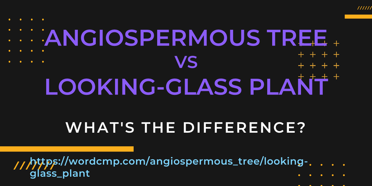 Difference between angiospermous tree and looking-glass plant