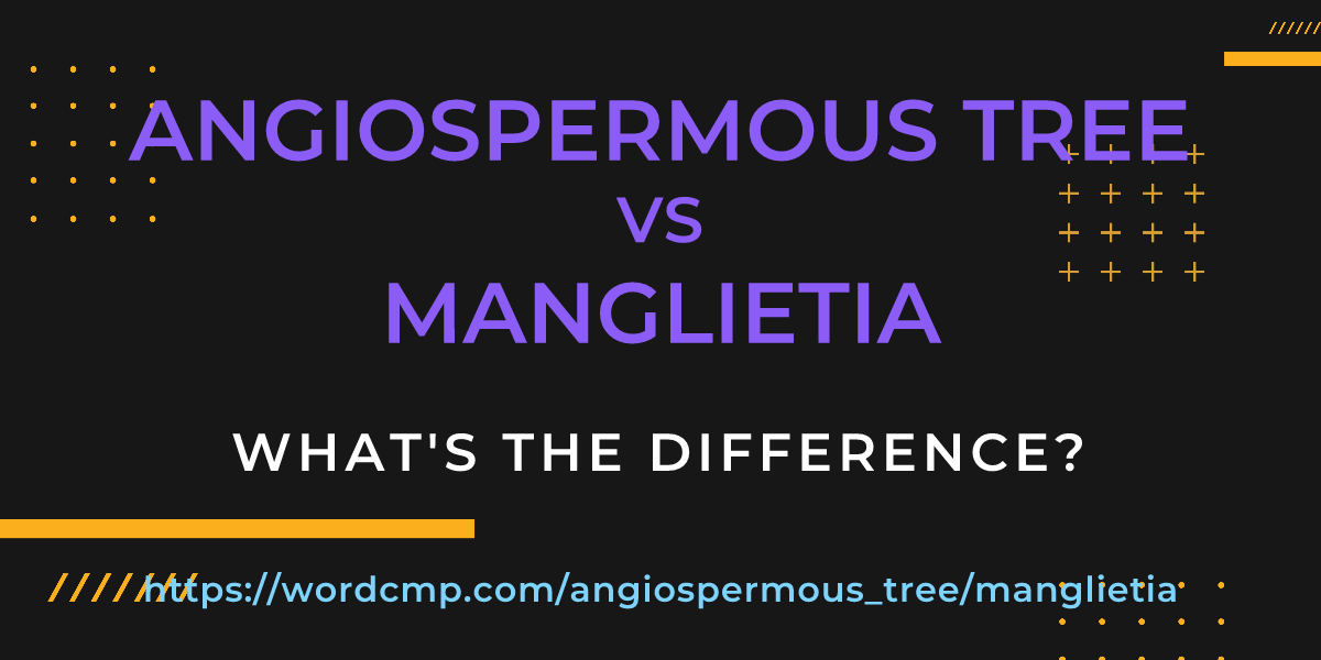 Difference between angiospermous tree and manglietia