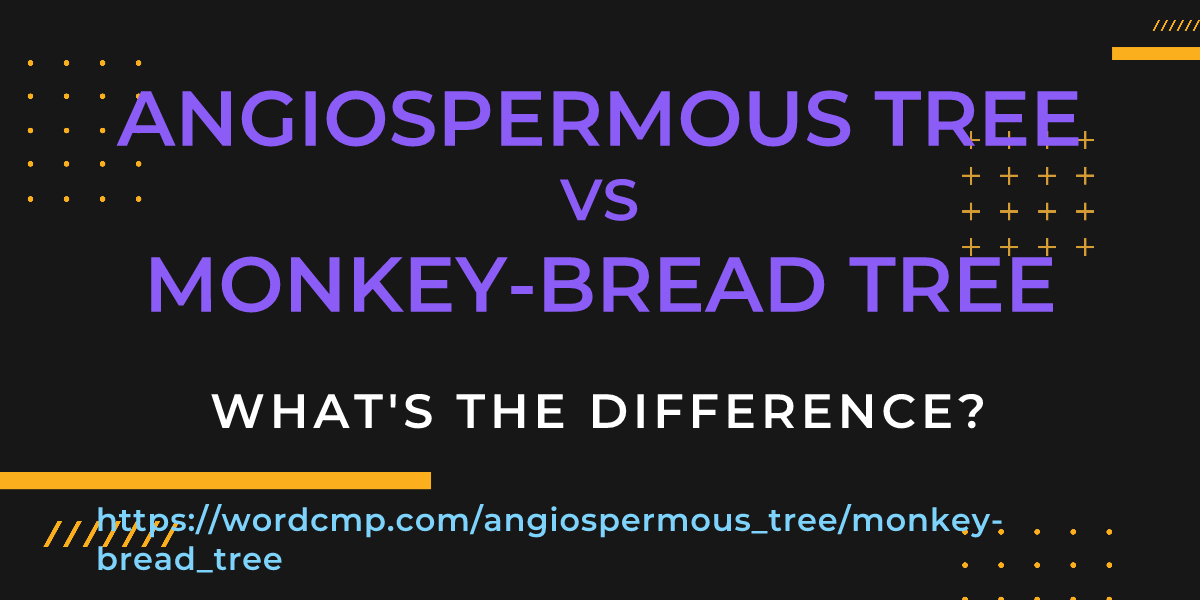 Difference between angiospermous tree and monkey-bread tree