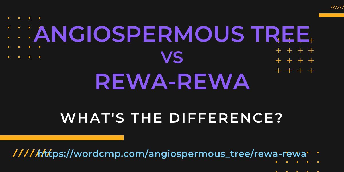 Difference between angiospermous tree and rewa-rewa