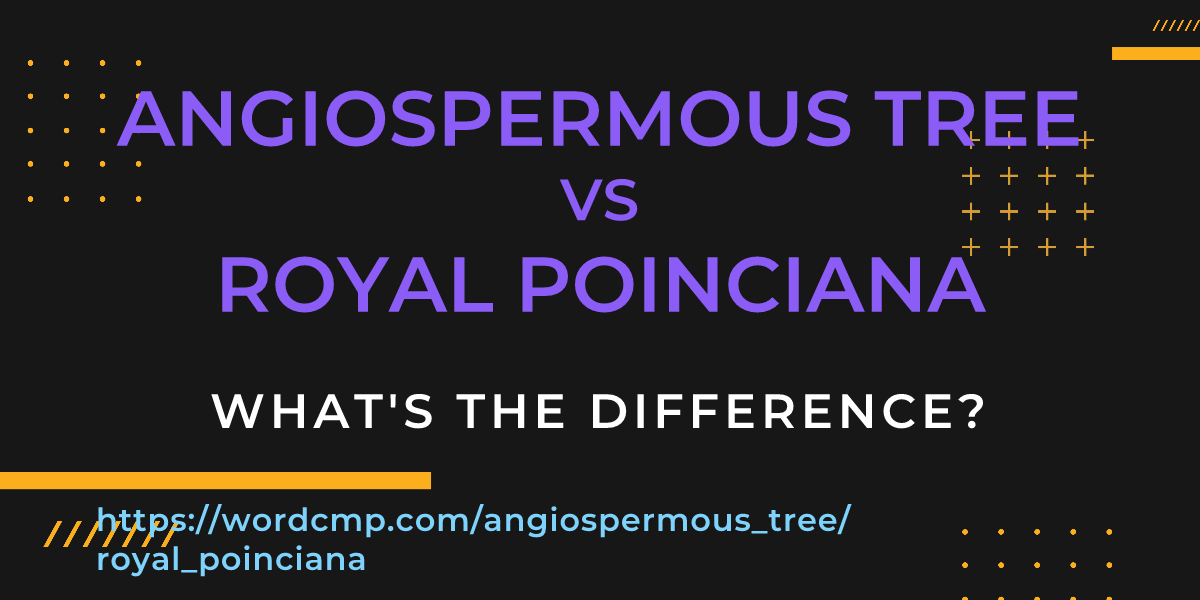 Difference between angiospermous tree and royal poinciana