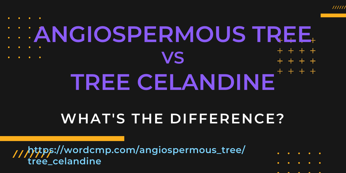 Difference between angiospermous tree and tree celandine