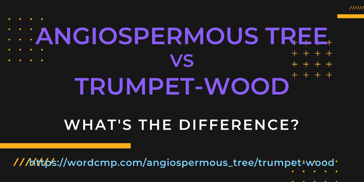 Difference between angiospermous tree and trumpet-wood