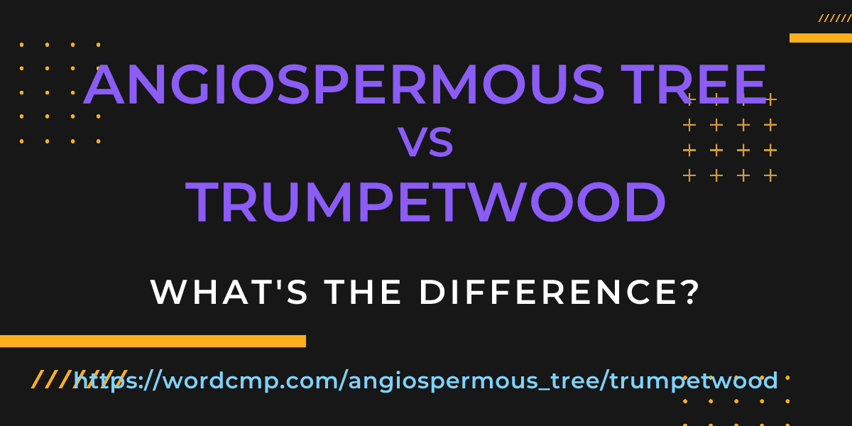 Difference between angiospermous tree and trumpetwood