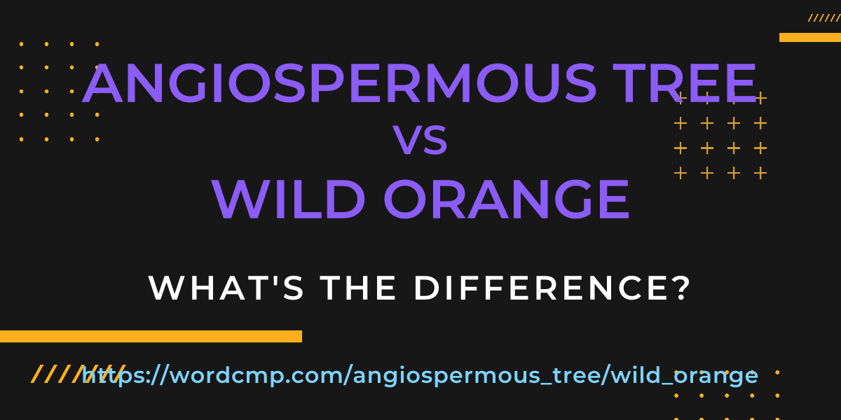 Difference between angiospermous tree and wild orange