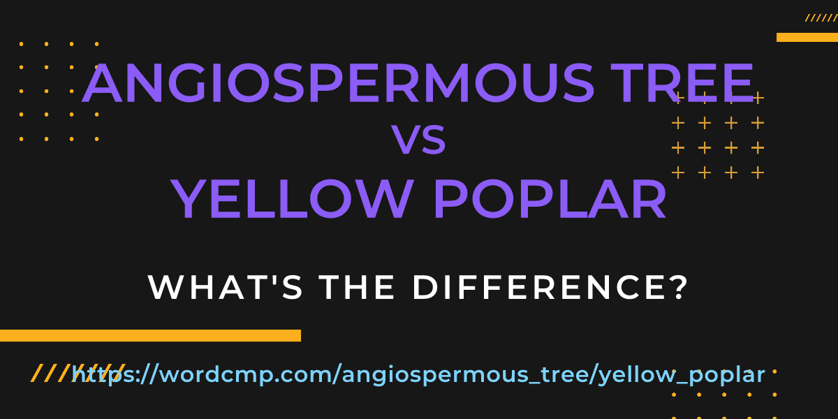 Difference between angiospermous tree and yellow poplar