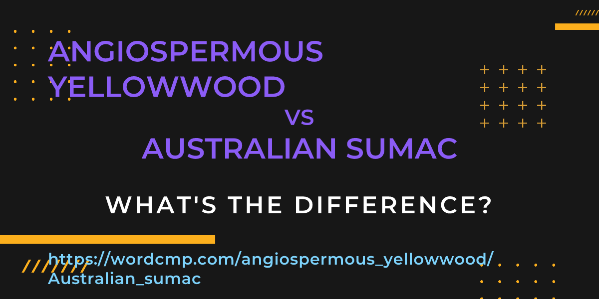 Difference between angiospermous yellowwood and Australian sumac