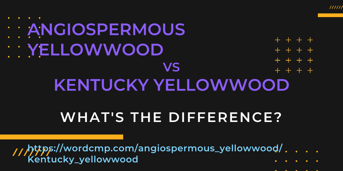Difference between angiospermous yellowwood and Kentucky yellowwood