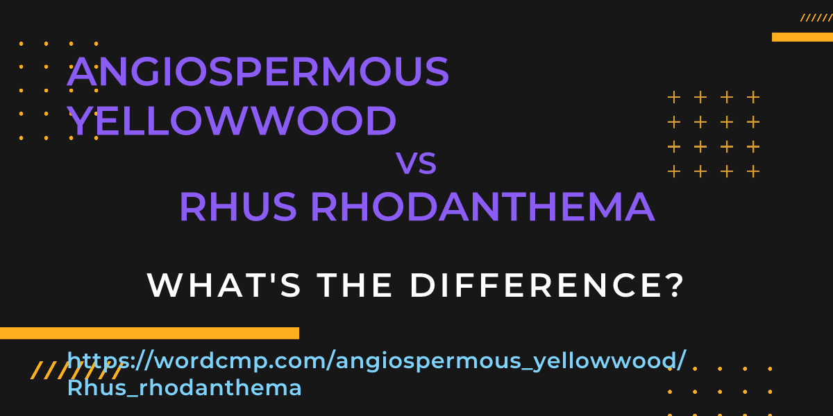 Difference between angiospermous yellowwood and Rhus rhodanthema