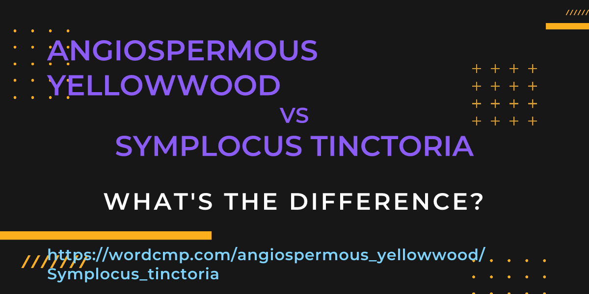 Difference between angiospermous yellowwood and Symplocus tinctoria