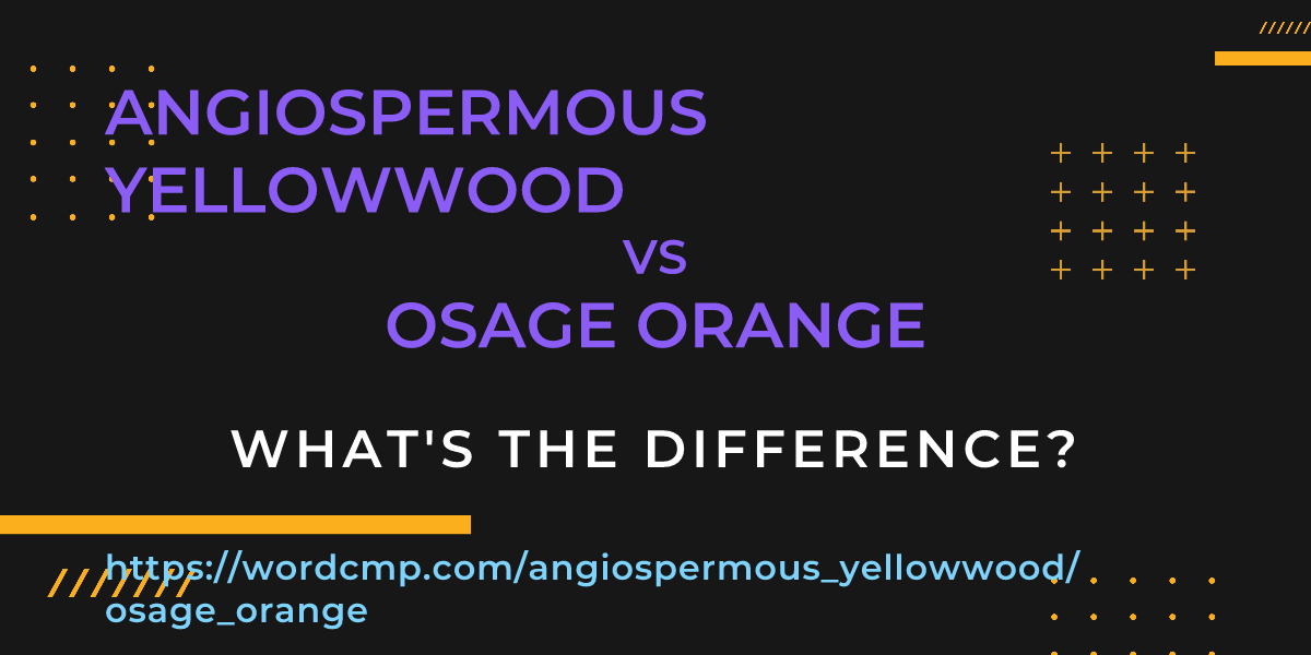 Difference between angiospermous yellowwood and osage orange