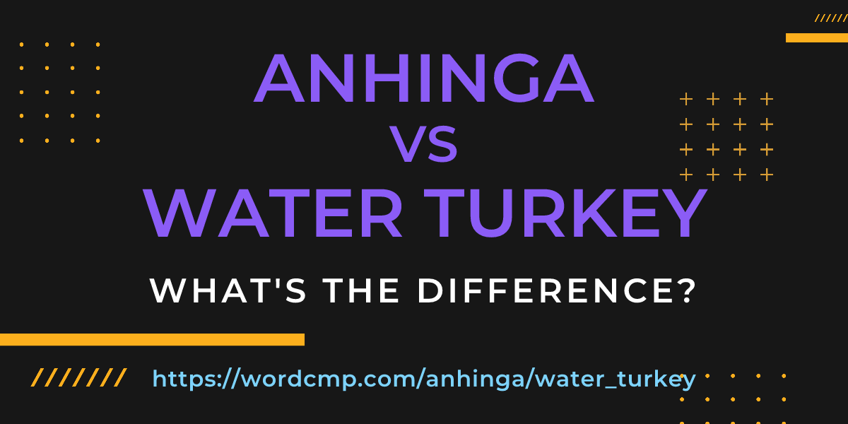 Difference between anhinga and water turkey