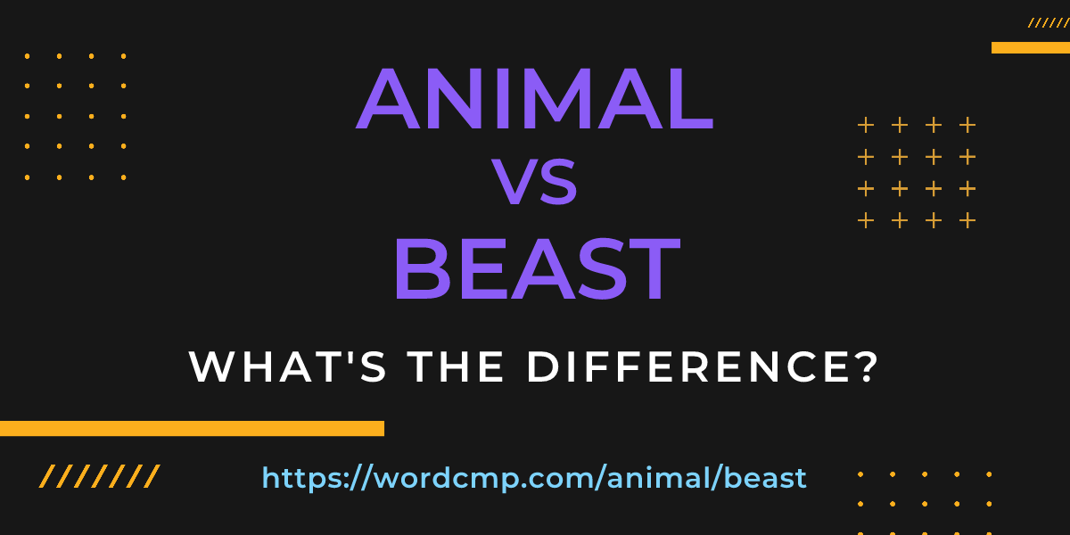 Difference between animal and beast