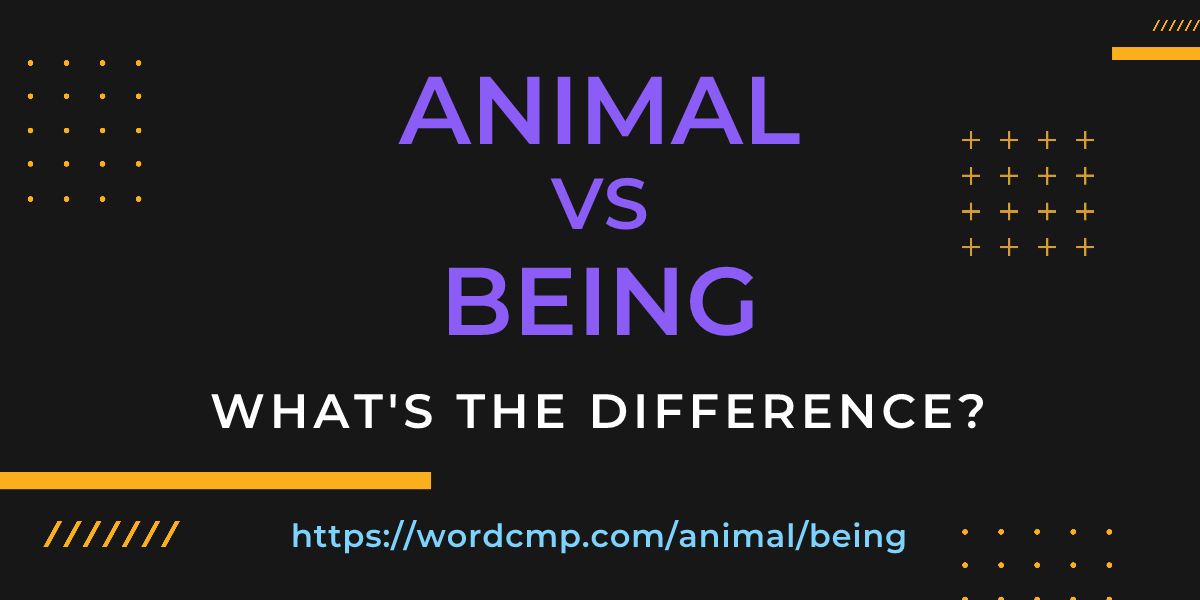 Difference between animal and being